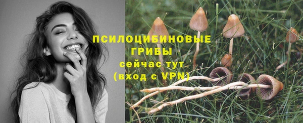 a pvp Алзамай