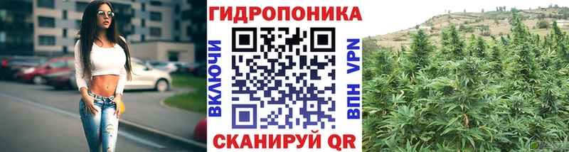 мориарти телеграм  Медынь  Конопля OG Kush 